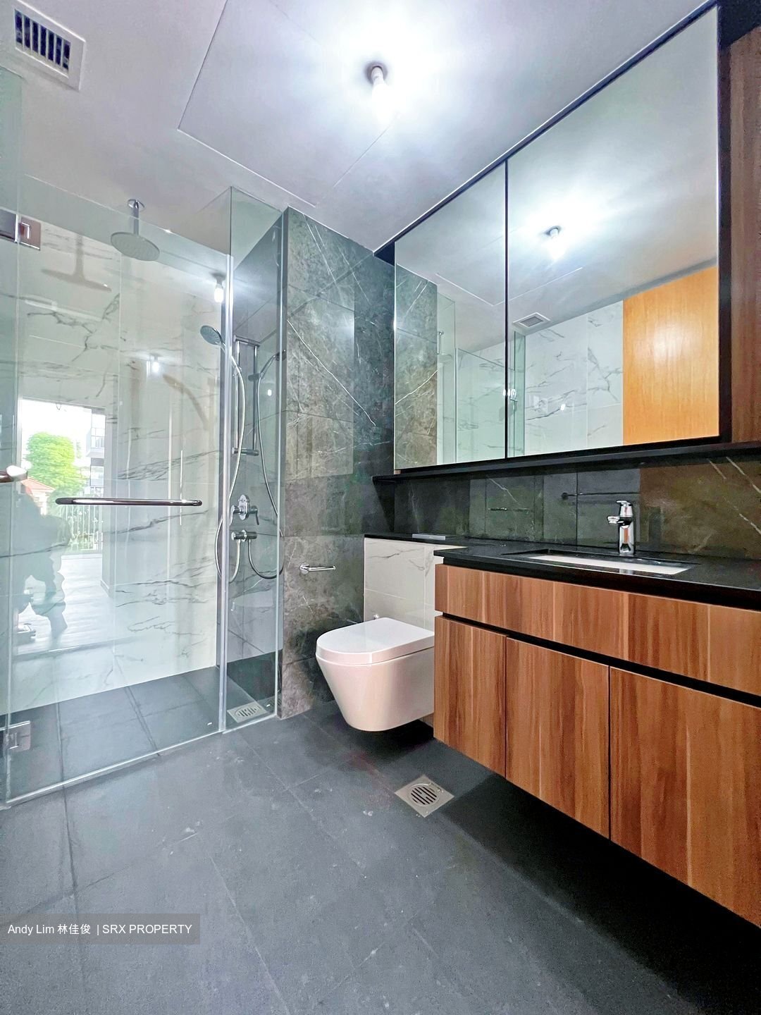The Verandah Residences (D5), Apartment #457265271